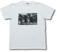 子豚Tシャツ